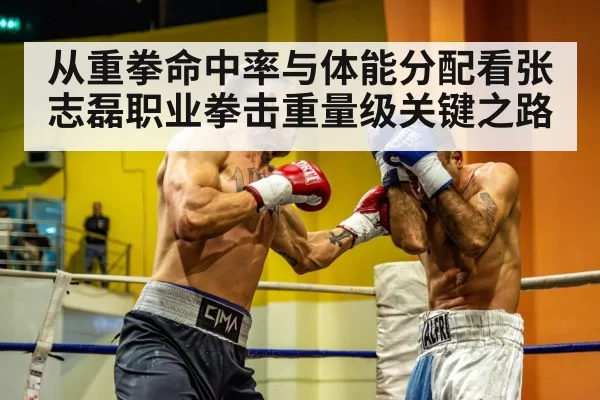 从重拳命中率与体能分配看张志磊职业拳击重量级关键之路