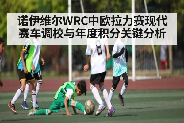 诺伊维尔WRC中欧拉力赛现代赛车调校与年度积分关键分析